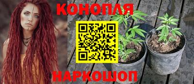 молекула духа Жуковский