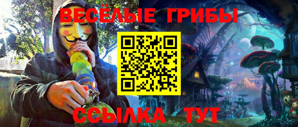 Псилоцибиновые грибы MAGIC MUSHROOMS  Вход с VPN  Новомосковск  Галлюциногенные грибы Magic Shrooms 